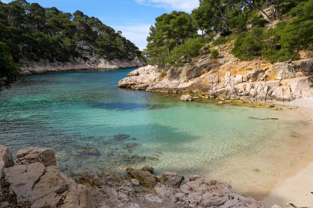 Villa D'Architecte Avec Piscine Et Grand Jardin Marseille Bagian luar foto